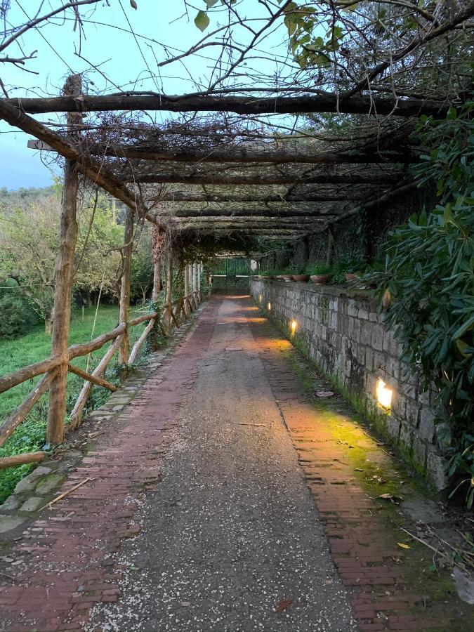 Sunrise Luxury Experience Bed and Breakfast Piano di Sorrento Exteriör bild